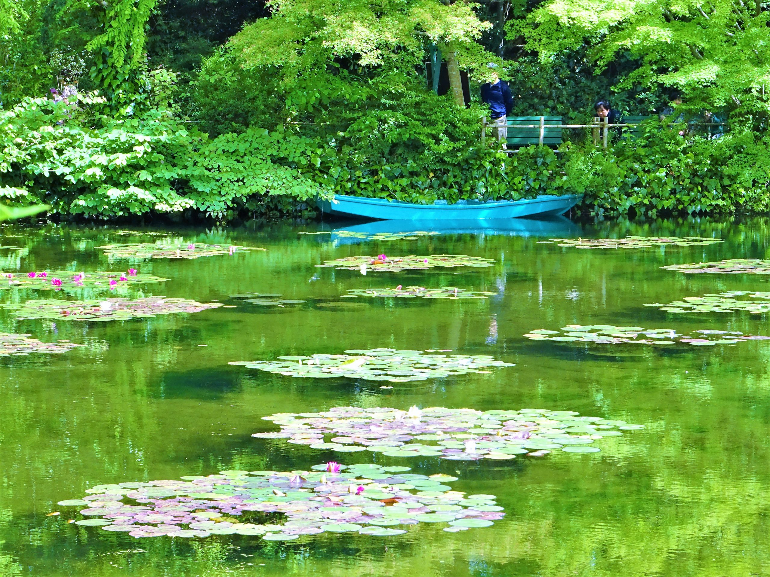 なんと四国にモネの庭 高知県 北川村 日本に もっと恋する旅